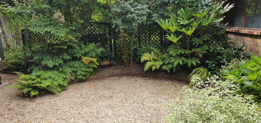 Espace de gravier bordé de fougères, arbustes et plantes d’ombre dans un jardin paysager à Villejuif (Val-de-Marne)